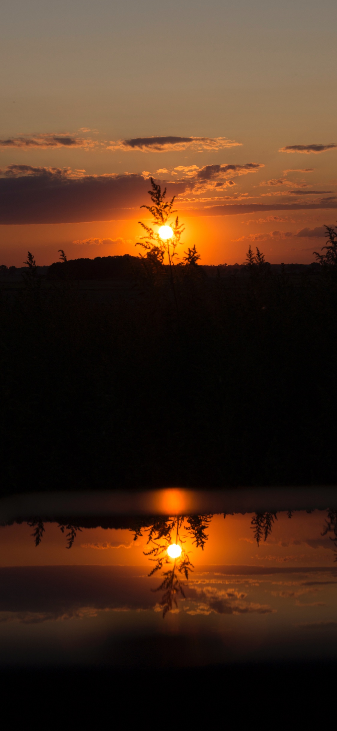 Sunset, Afterglow, Sun, Horizon, Sunrise. Wallpaper in 1125x2436 Resolution