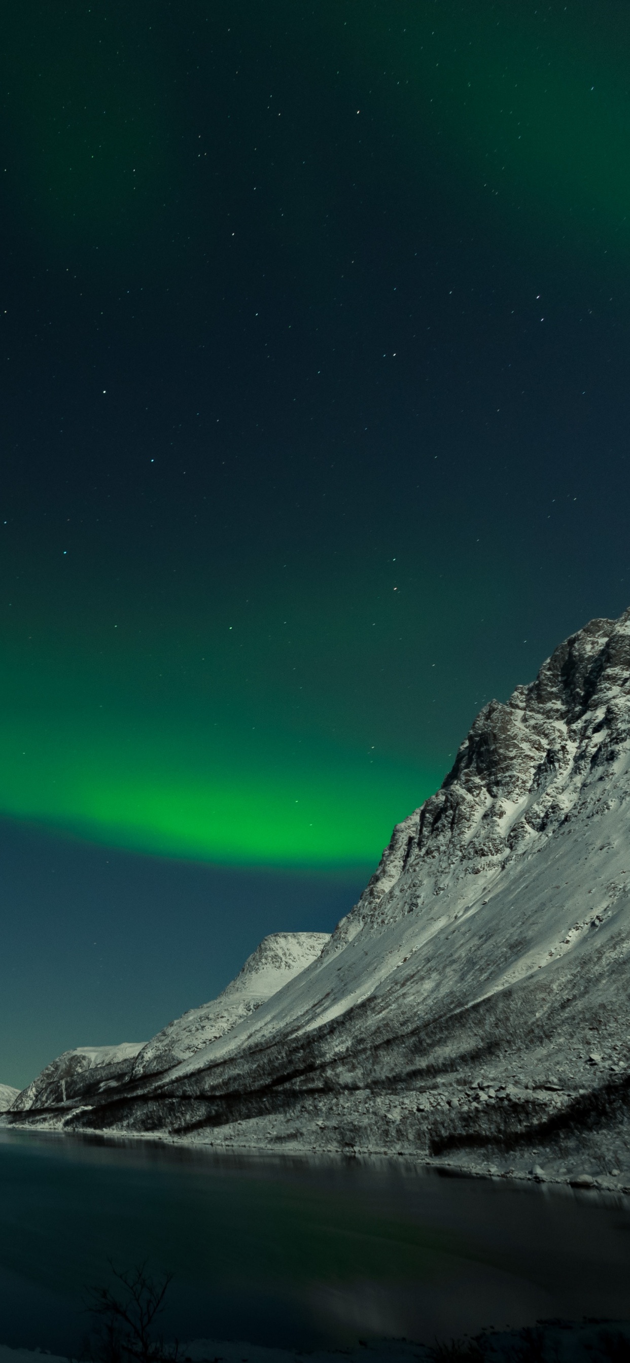 Aurora, Night, Nature, Green, Natural Landscape. Wallpaper in 1242x2688 Resolution