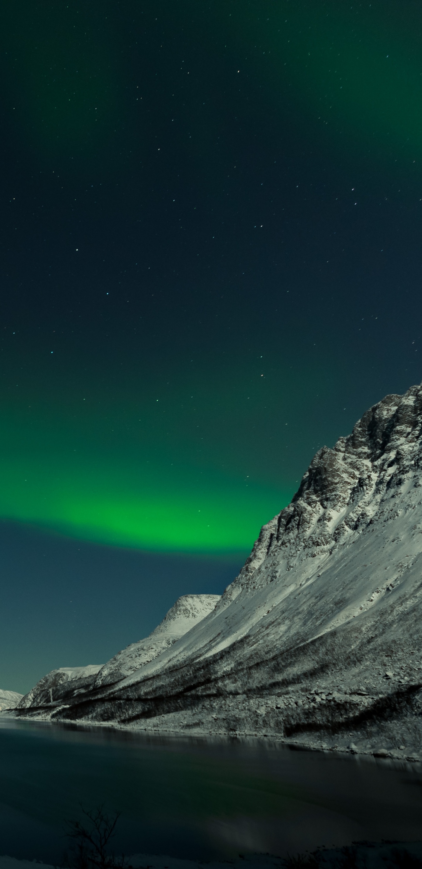 Aurora, Nuit, Nature, Green, Paysage Naturel. Wallpaper in 1440x2960 Resolution