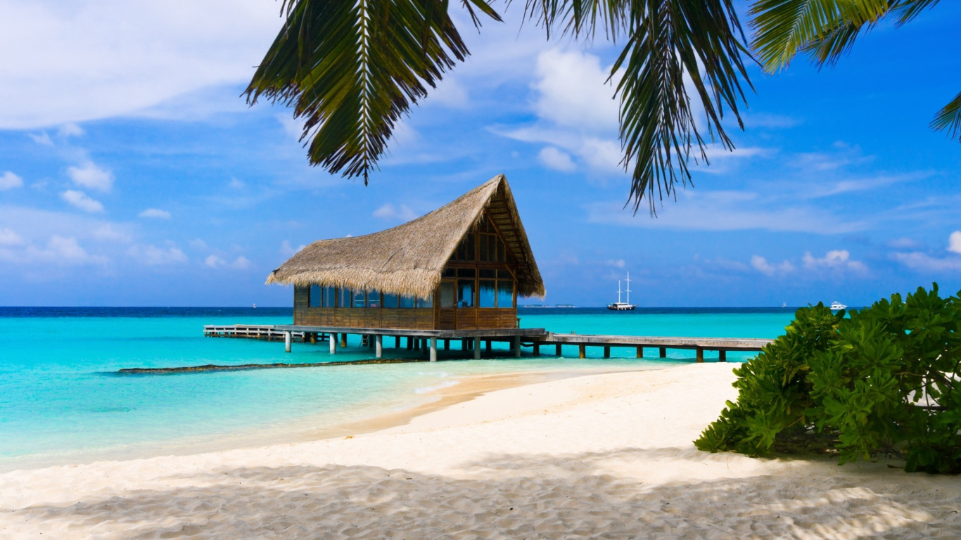 Maison en Bois Brune Sur la Plage de Sable Blanc Pendant la Journée. Wallpaper in 1366x768 Resolution