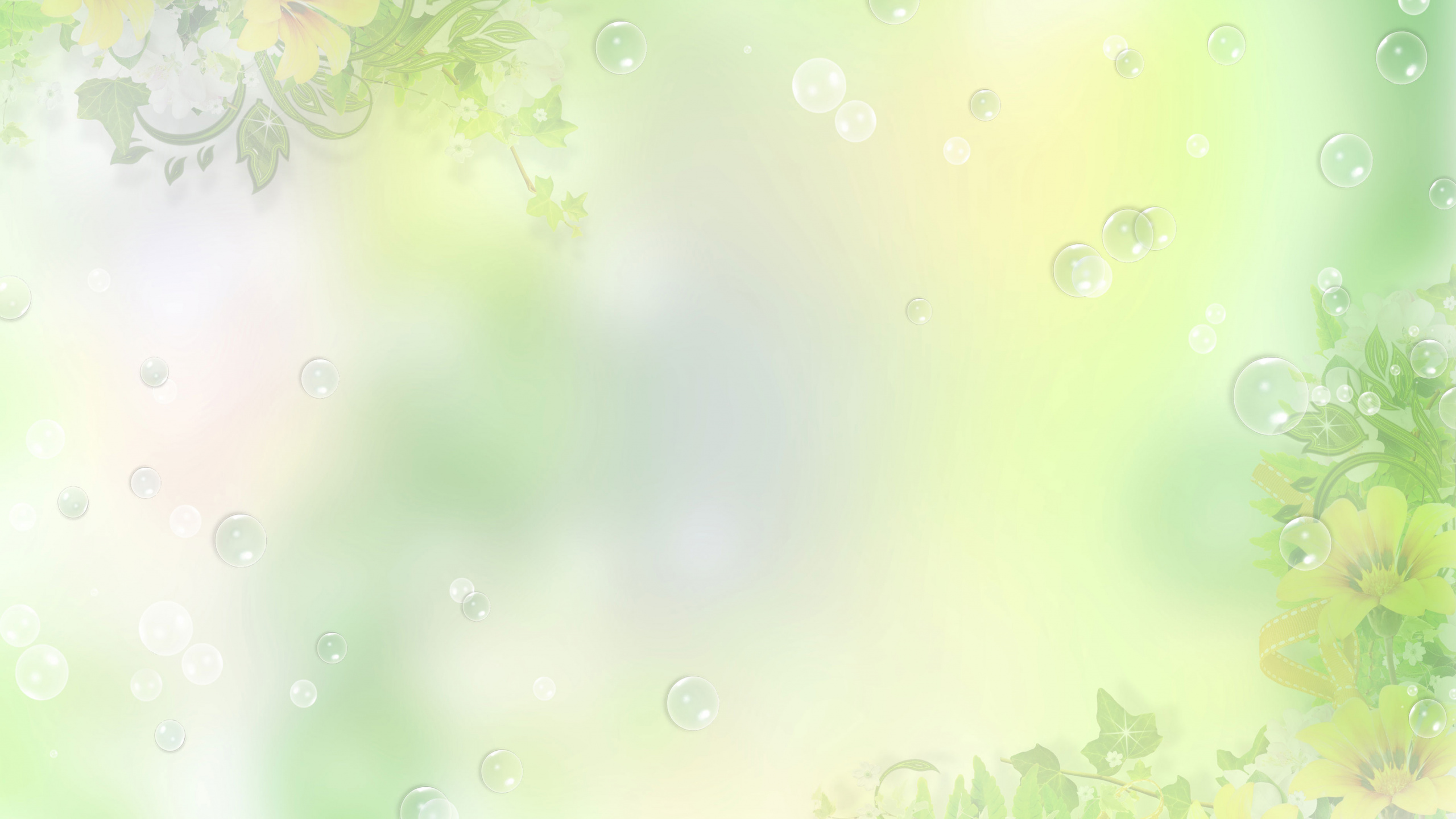 Gotas de Agua Sobre Hojas Verdes. Wallpaper in 2560x1440 Resolution