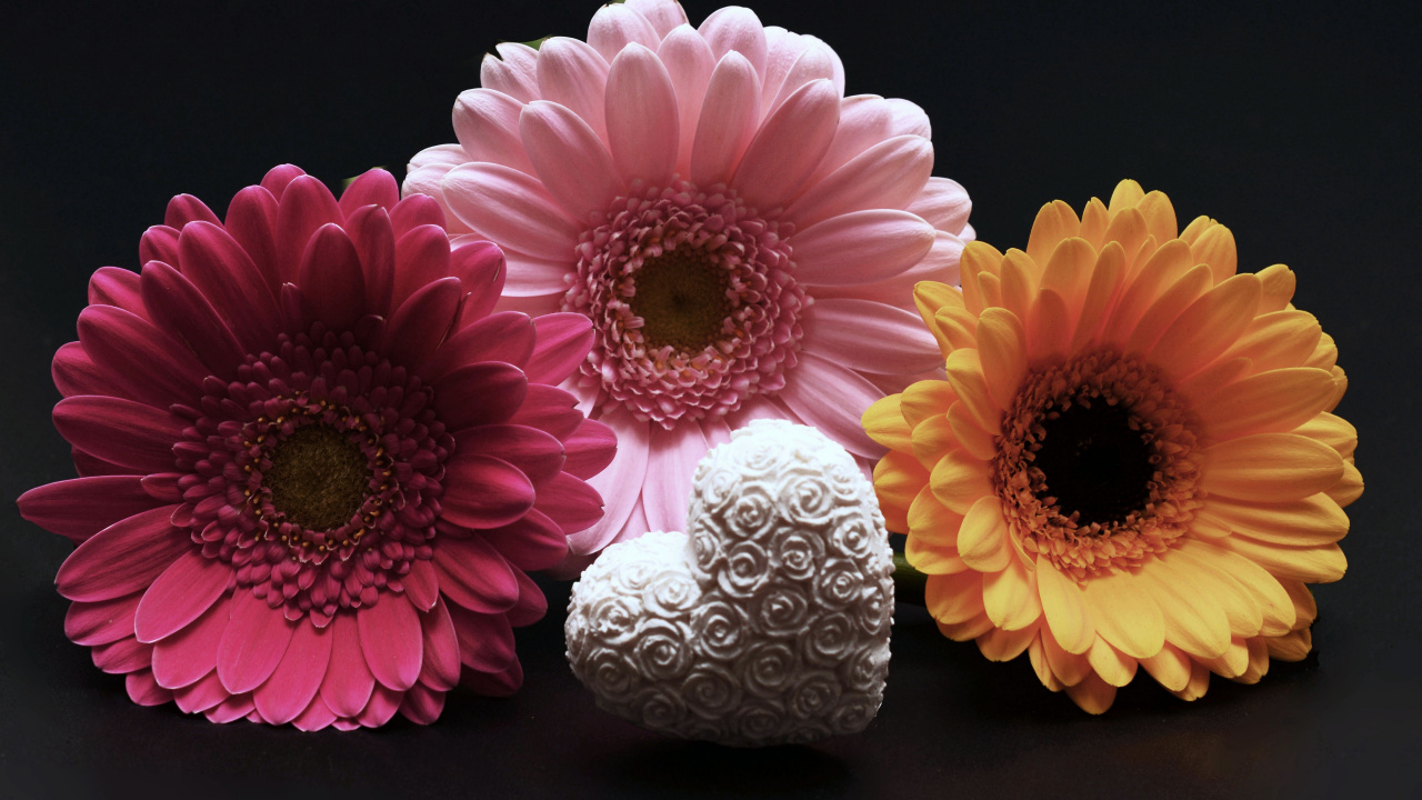 Pink and White Flower Beside White and Gray Textile. Wallpaper in 1280x720 Resolution