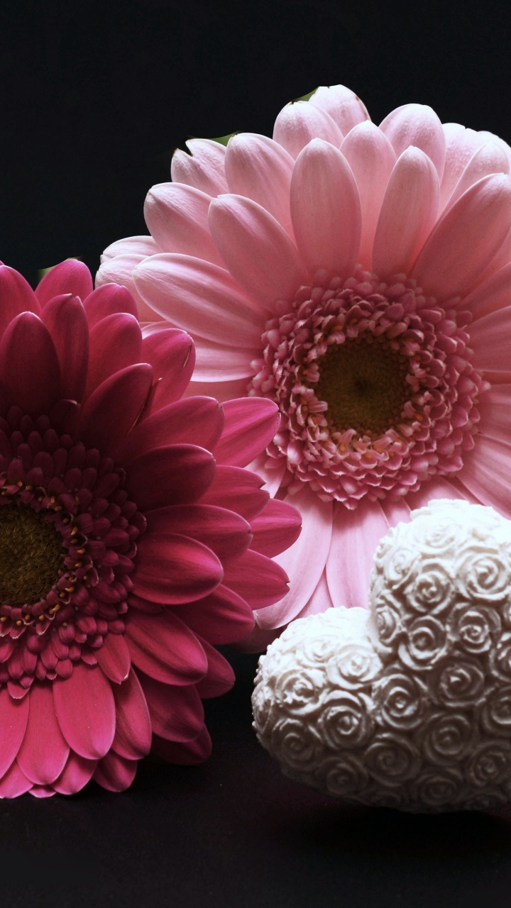 Pink and White Flower Beside White and Gray Textile. Wallpaper in 720x1280 Resolution
