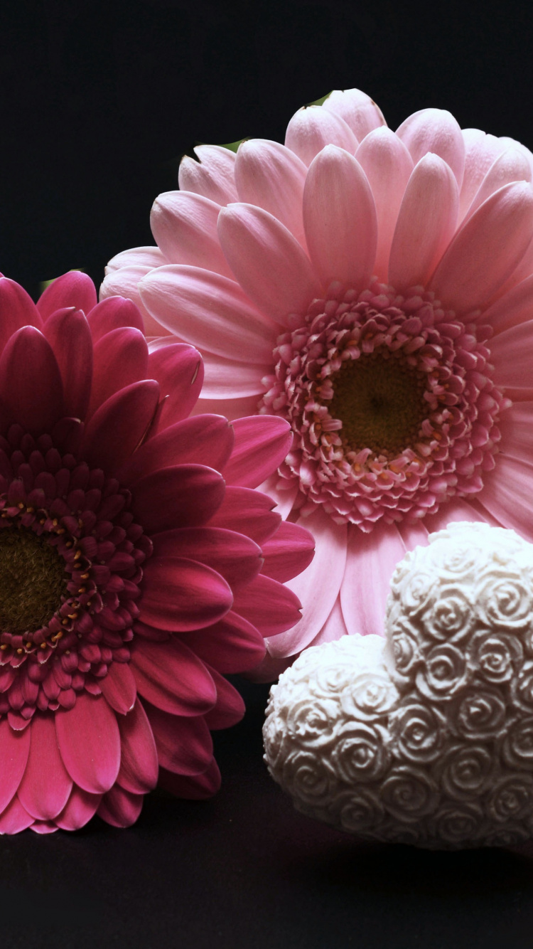 Pink and White Flower Beside White and Gray Textile. Wallpaper in 750x1334 Resolution