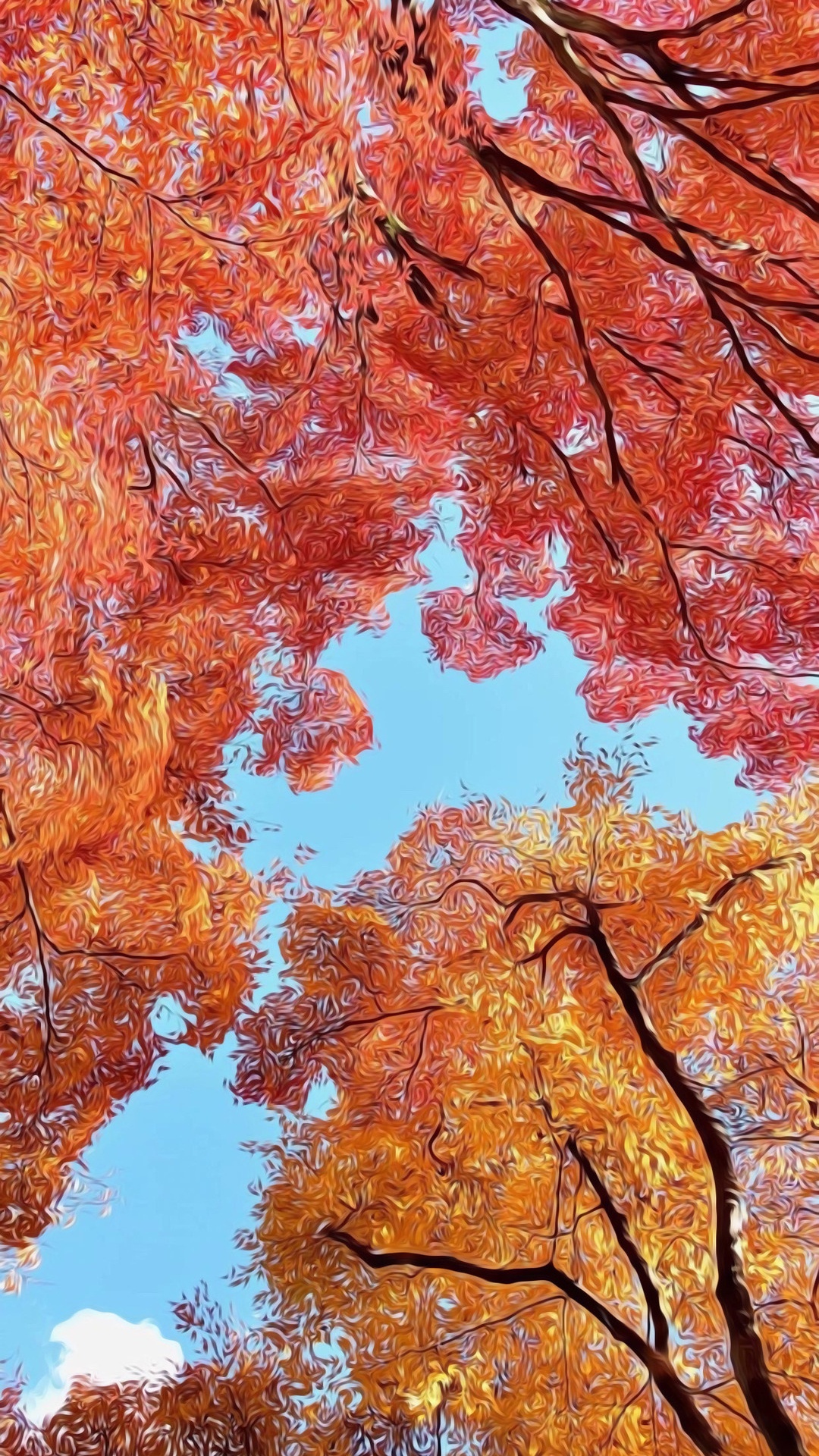Maple Leaf, Autumn, Tree, Twig, Trunk. Wallpaper in 1080x1920 Resolution