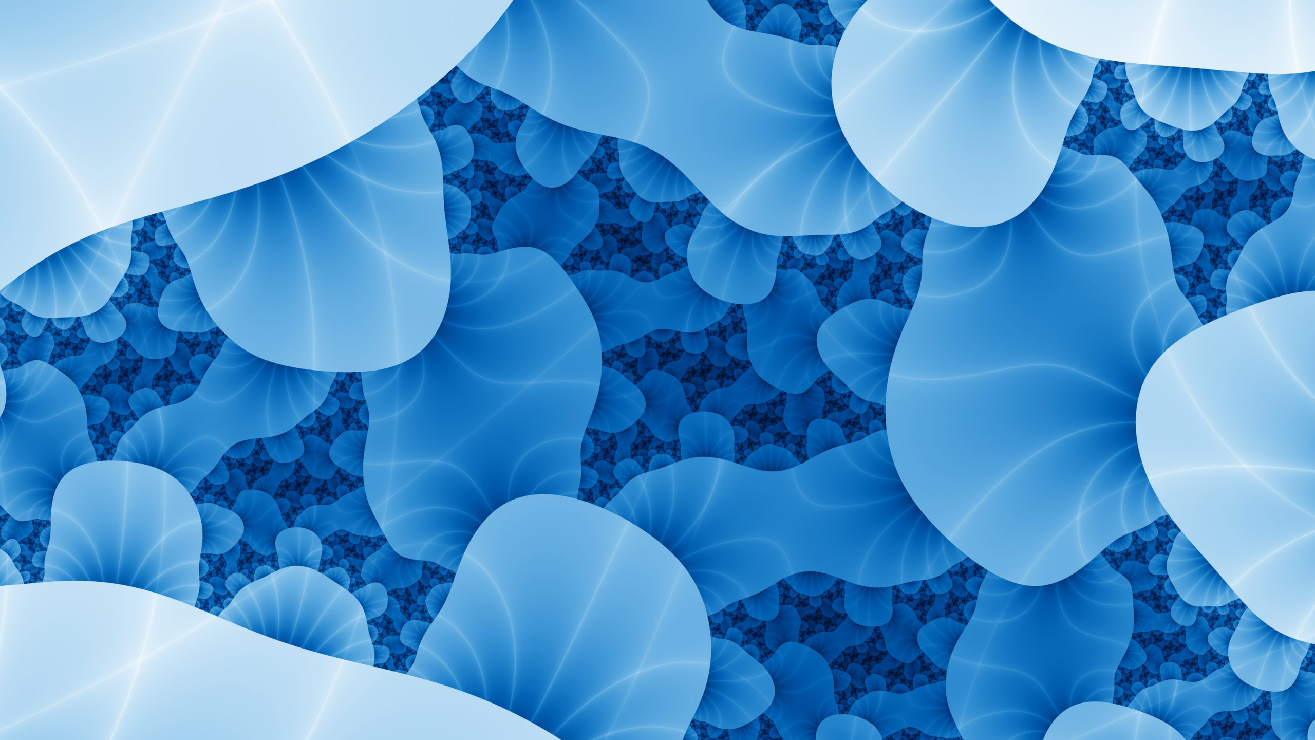 Brown and White Floral Textile. Wallpaper in 2560x1440 Resolution