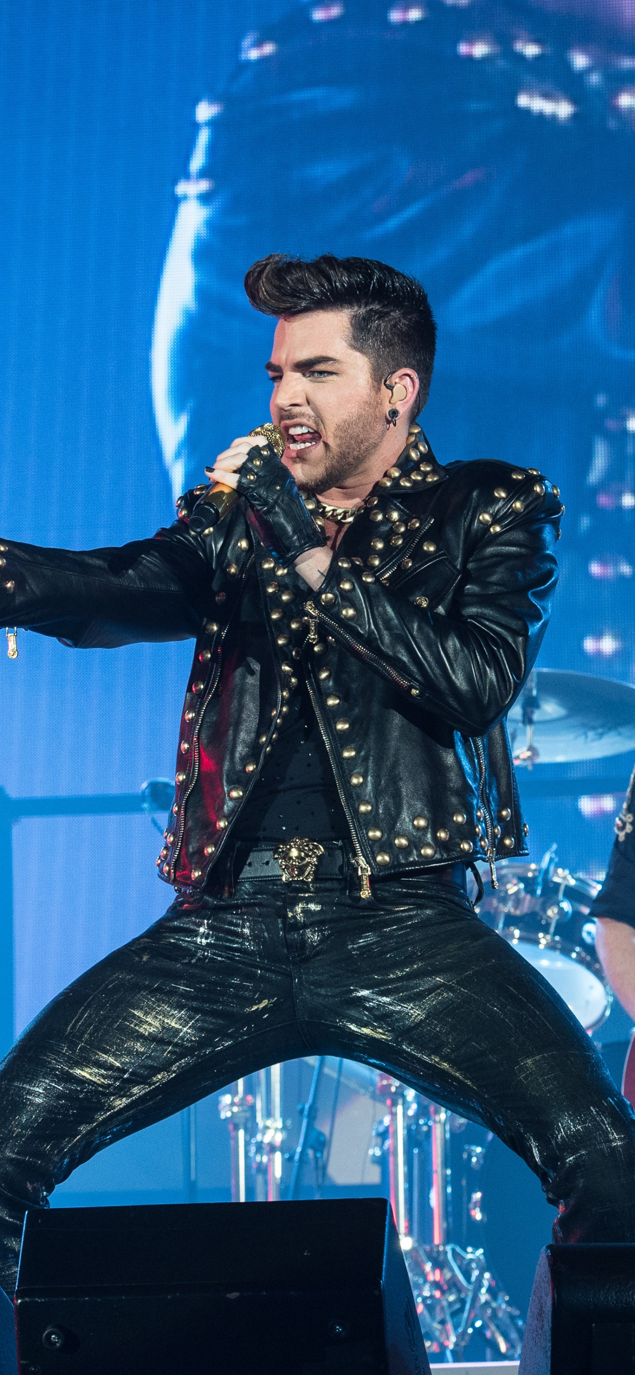 el Artista de Música, Concierto de Rock, Concierto, Rendimiento, Entretenimiento. Wallpaper in 1242x2688 Resolution