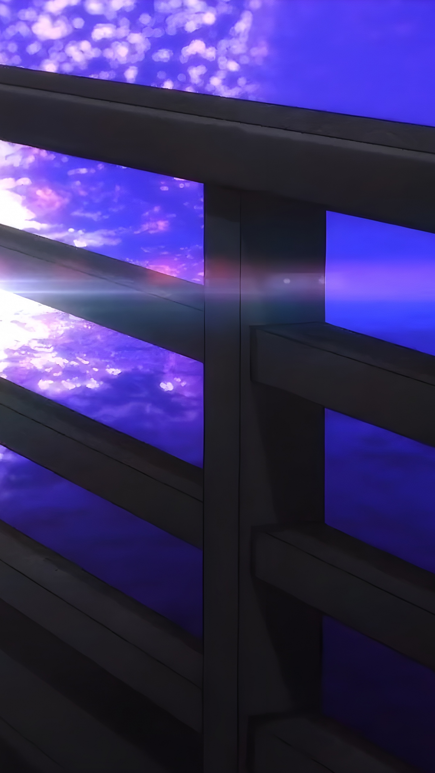 光, 科学, 紫色的, 紫罗兰色, 气体 壁纸 1440x2560 允许