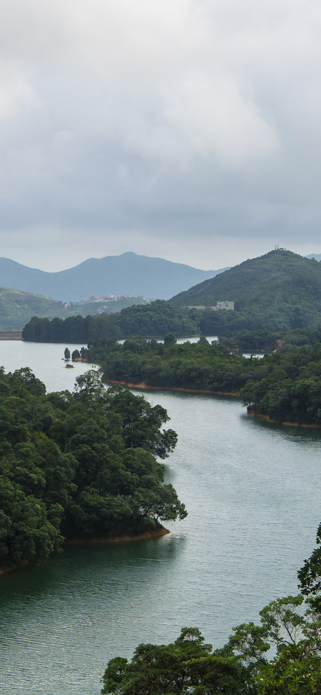 Green Trees Near Body of Water During Daytime. Wallpaper in 1242x2688 Resolution