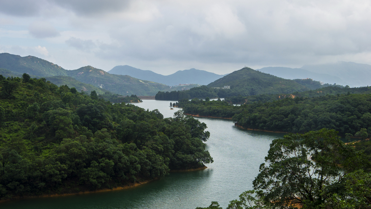 Green Trees Near Body of Water During Daytime. Wallpaper in 1280x720 Resolution