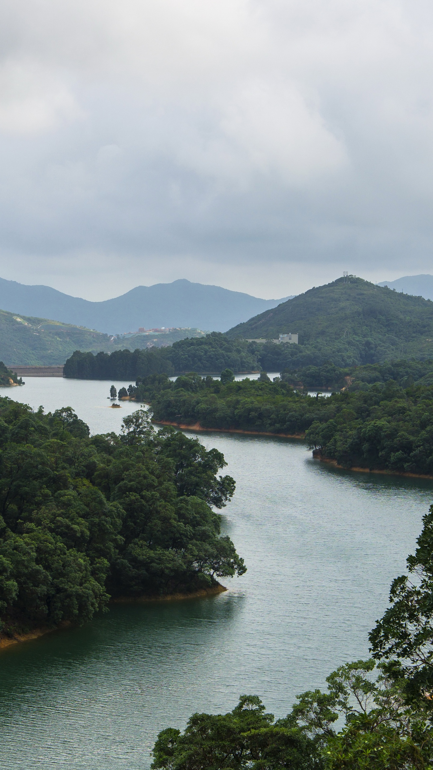Green Trees Near Body of Water During Daytime. Wallpaper in 1440x2560 Resolution