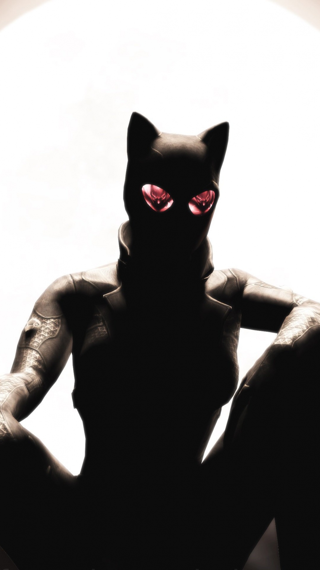 Catwoman, Batman, Gato, Arte, Gato Negro. Wallpaper in 1080x1920 Resolution