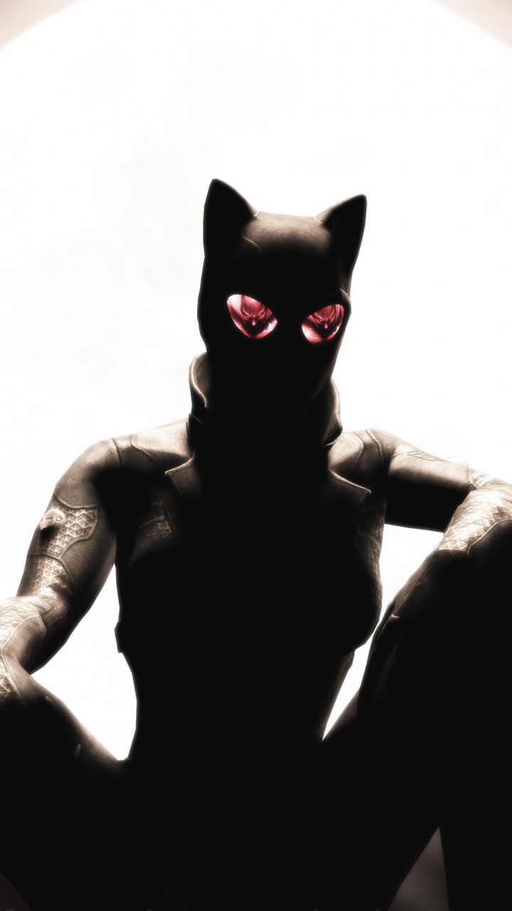 Catwoman, Batman, Gato, Arte, Gato Negro. Wallpaper in 720x1280 Resolution