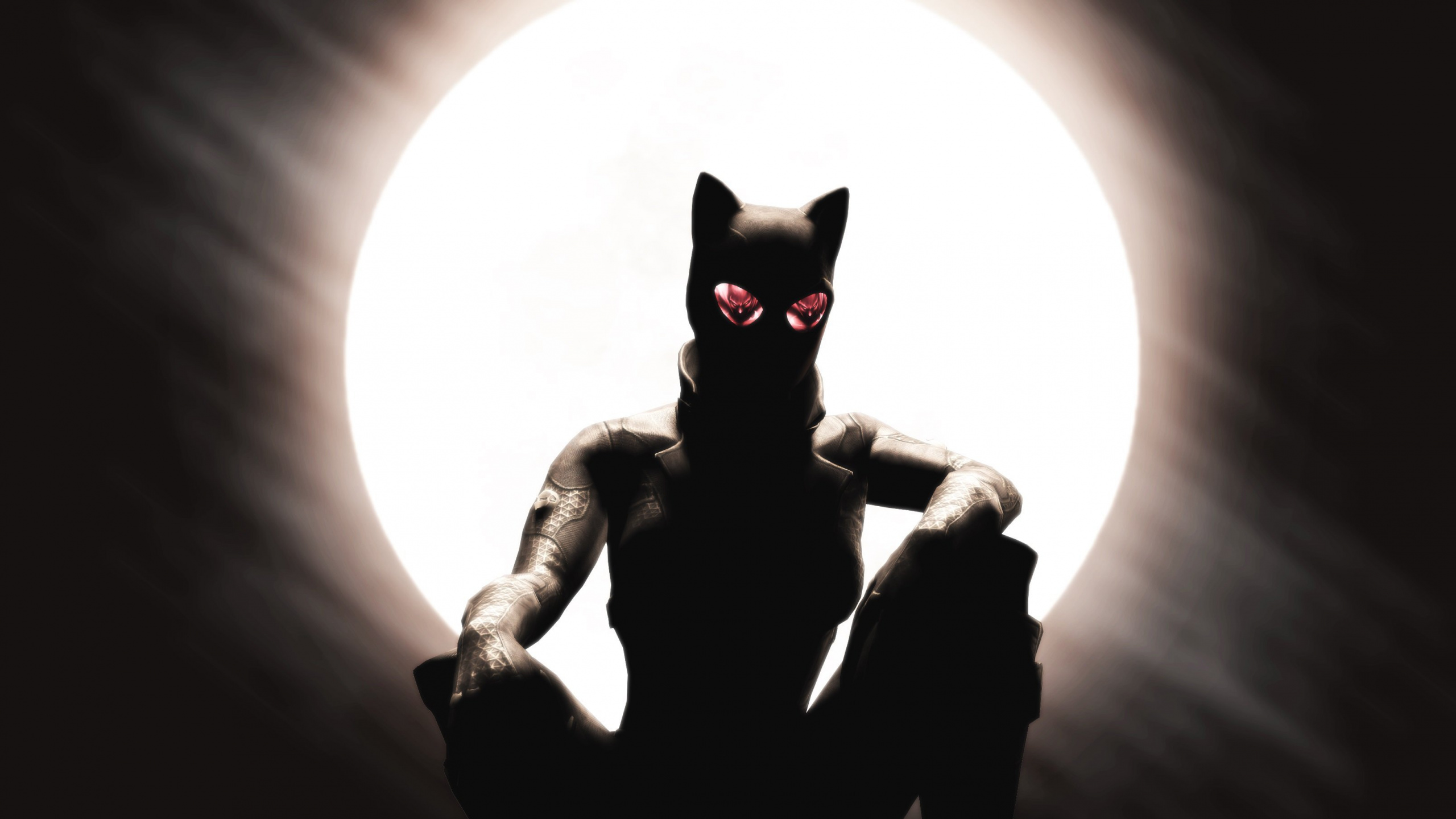 Catwoman, Batman, Katze, Comic, Kunst. Wallpaper in 2560x1440 Resolution