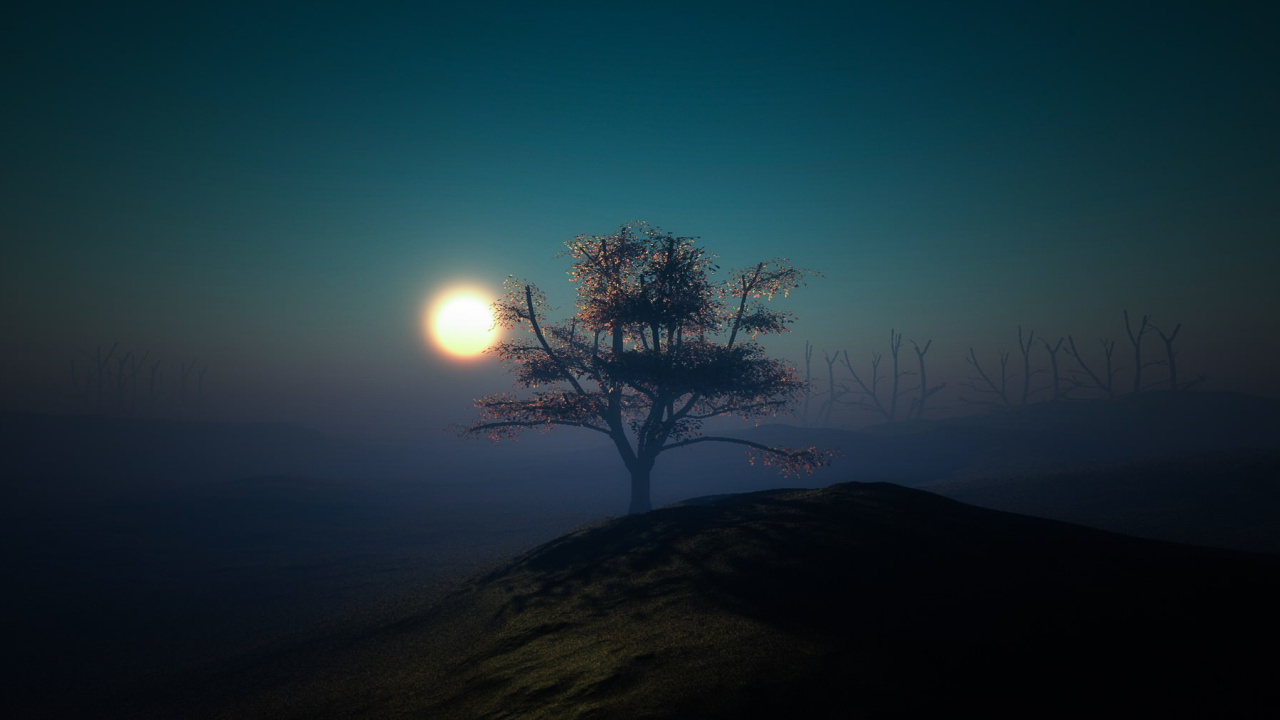 Arbre nu Sur la Colline Pendant la Nuit. Wallpaper in 1280x720 Resolution