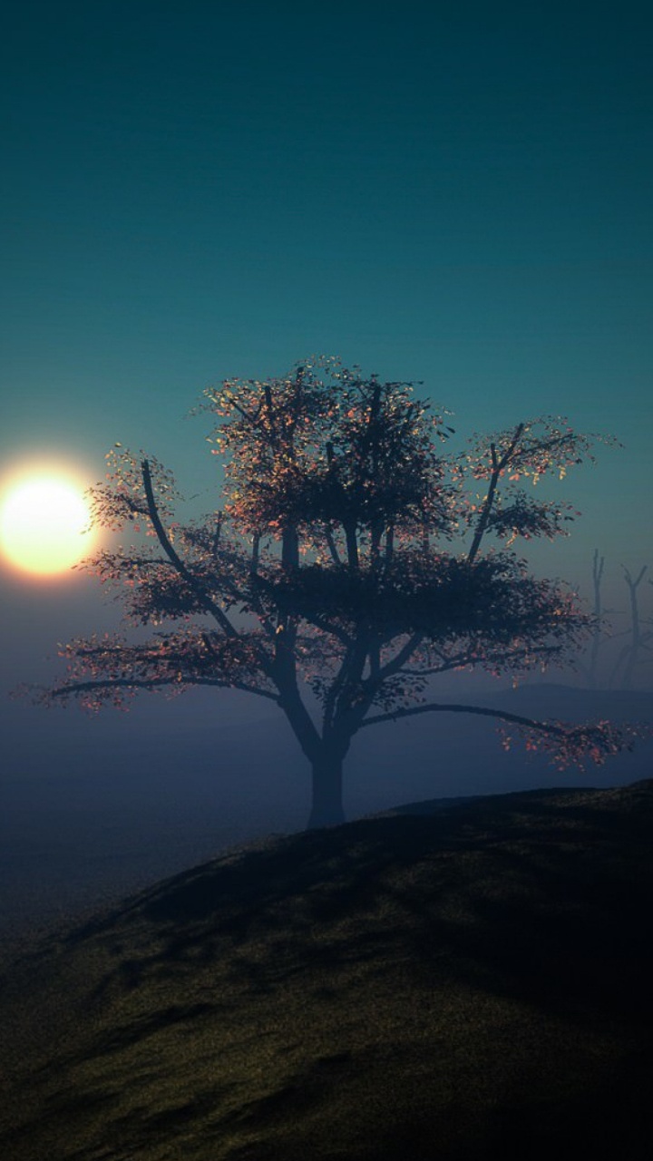 Arbre nu Sur la Colline Pendant la Nuit. Wallpaper in 720x1280 Resolution