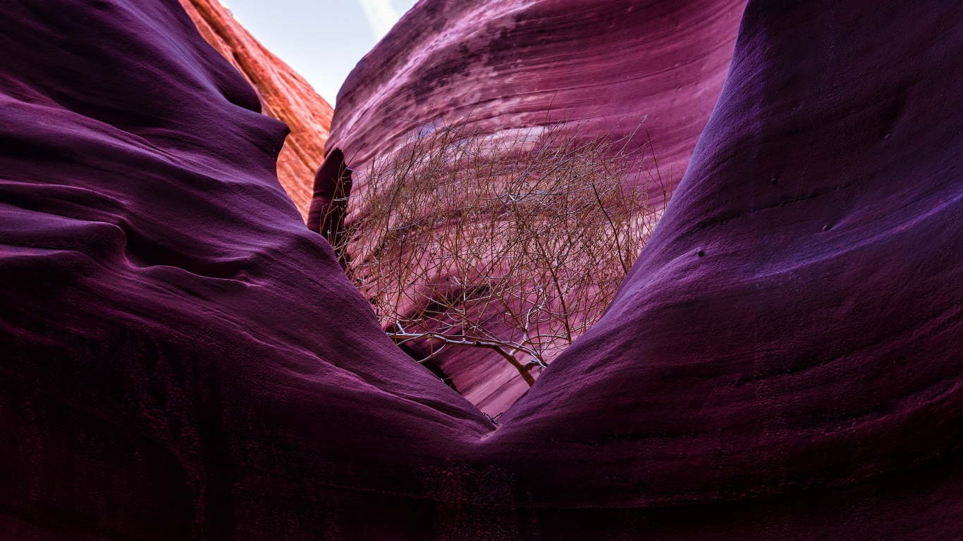 Brown Rock Formation During Daytime. Wallpaper in 1366x768 Resolution