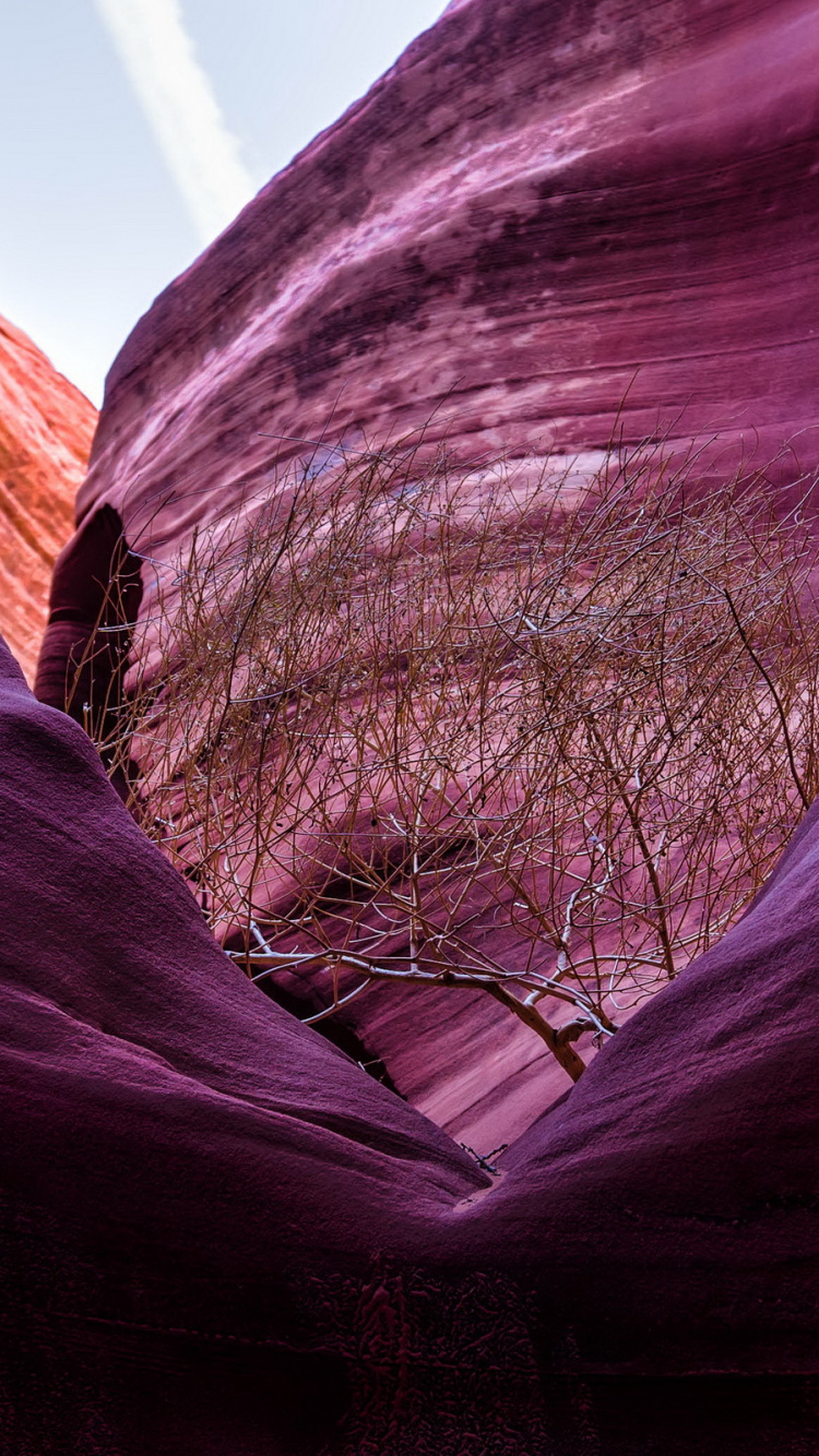 Brown Rock Formation During Daytime. Wallpaper in 750x1334 Resolution
