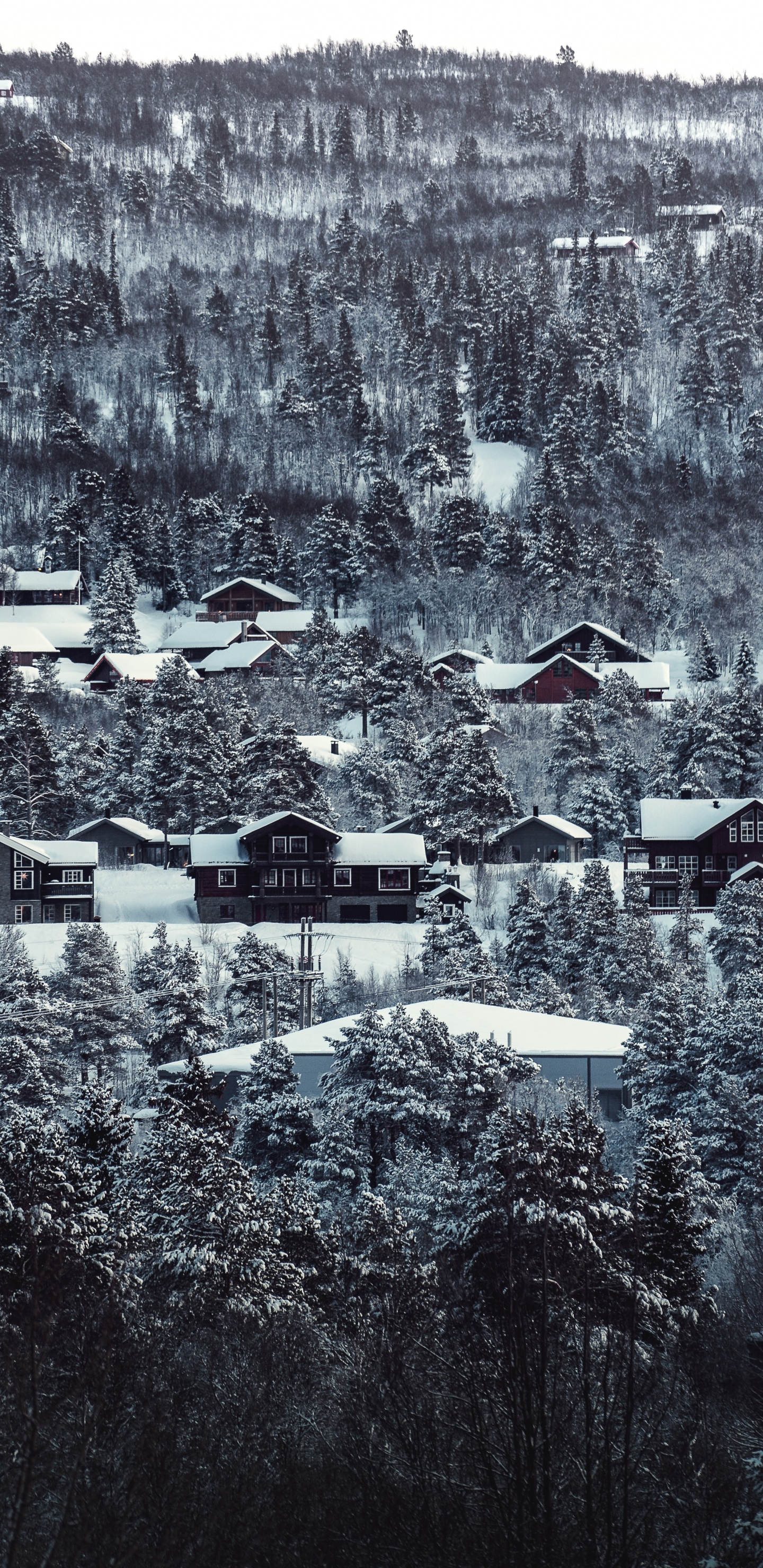 Houses Covered With Snow During Daytime. Wallpaper in 1440x2960 Resolution