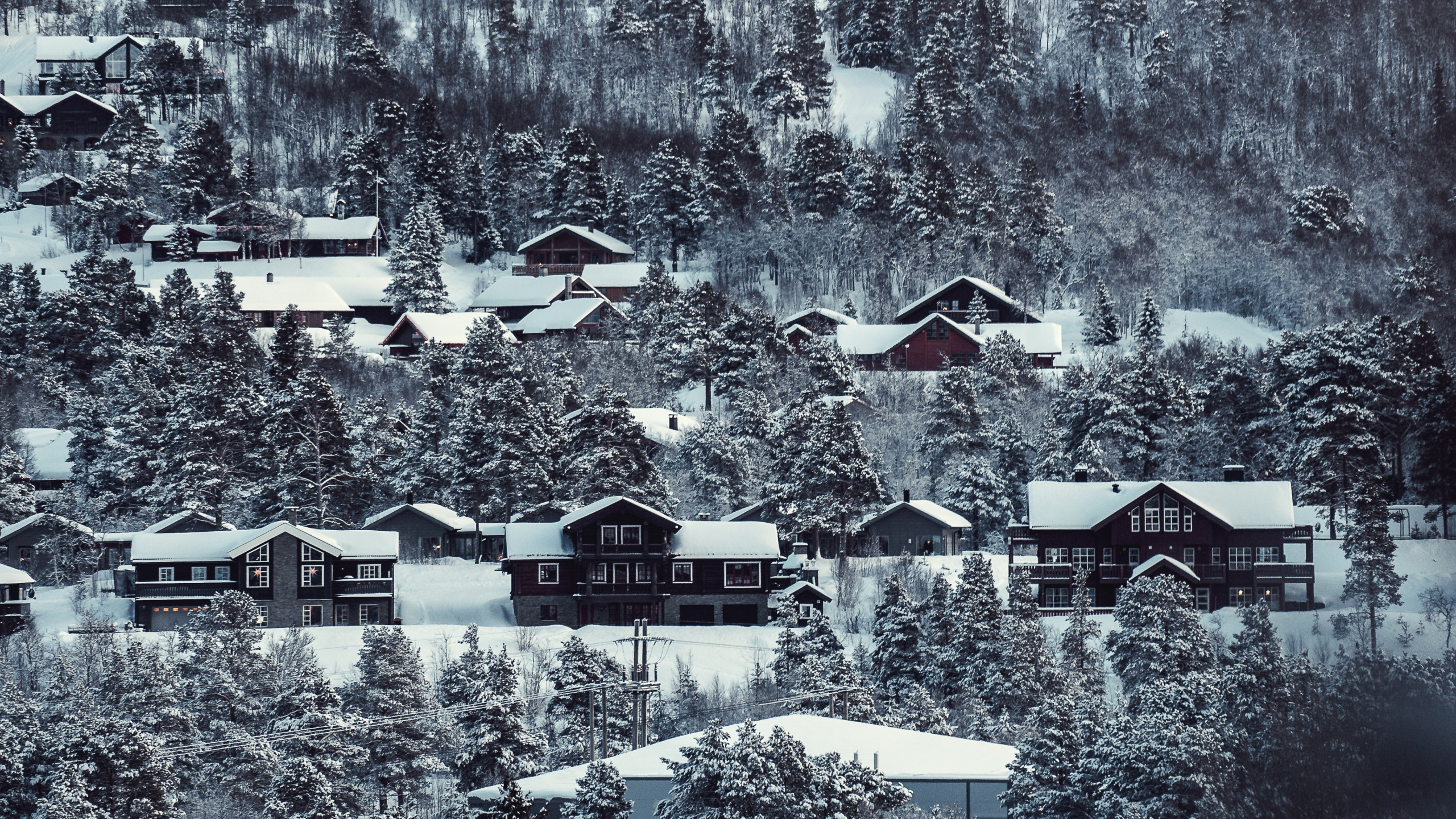 Houses Covered With Snow During Daytime. Wallpaper in 2560x1440 Resolution