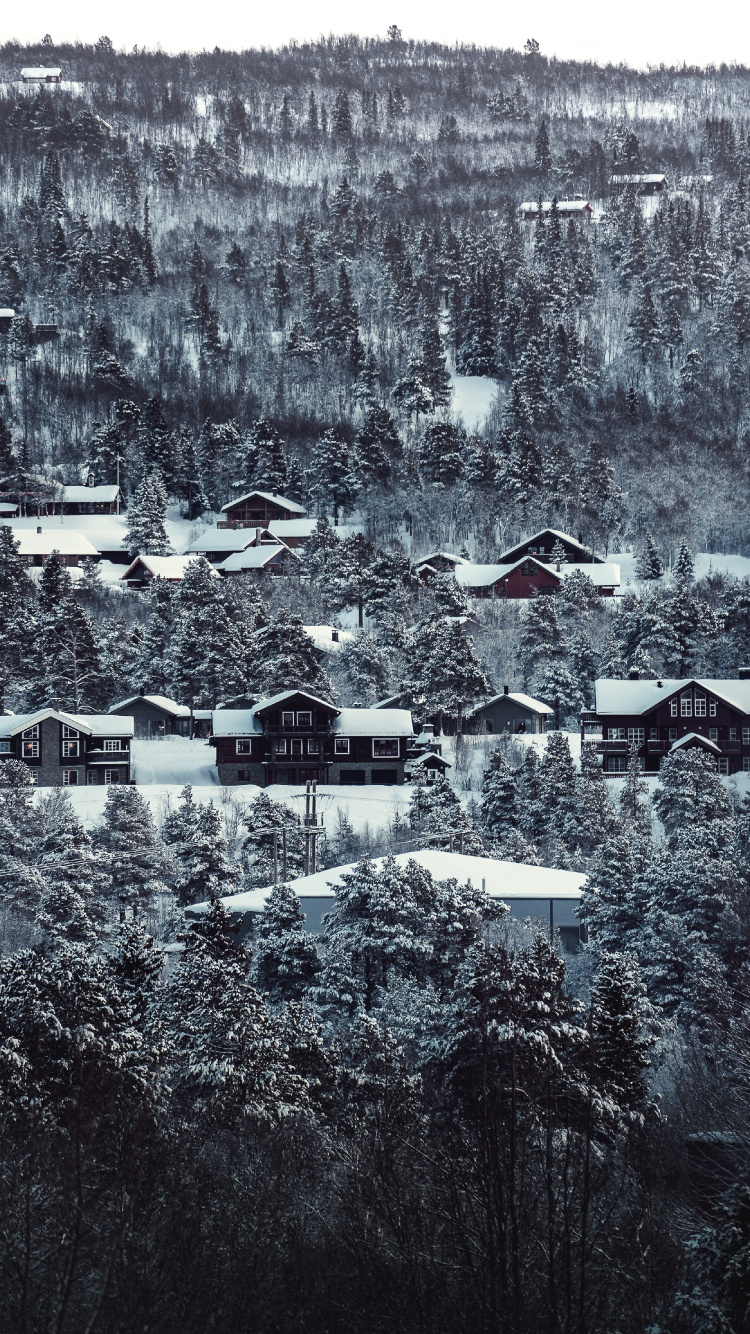 Houses Covered With Snow During Daytime. Wallpaper in 750x1334 Resolution