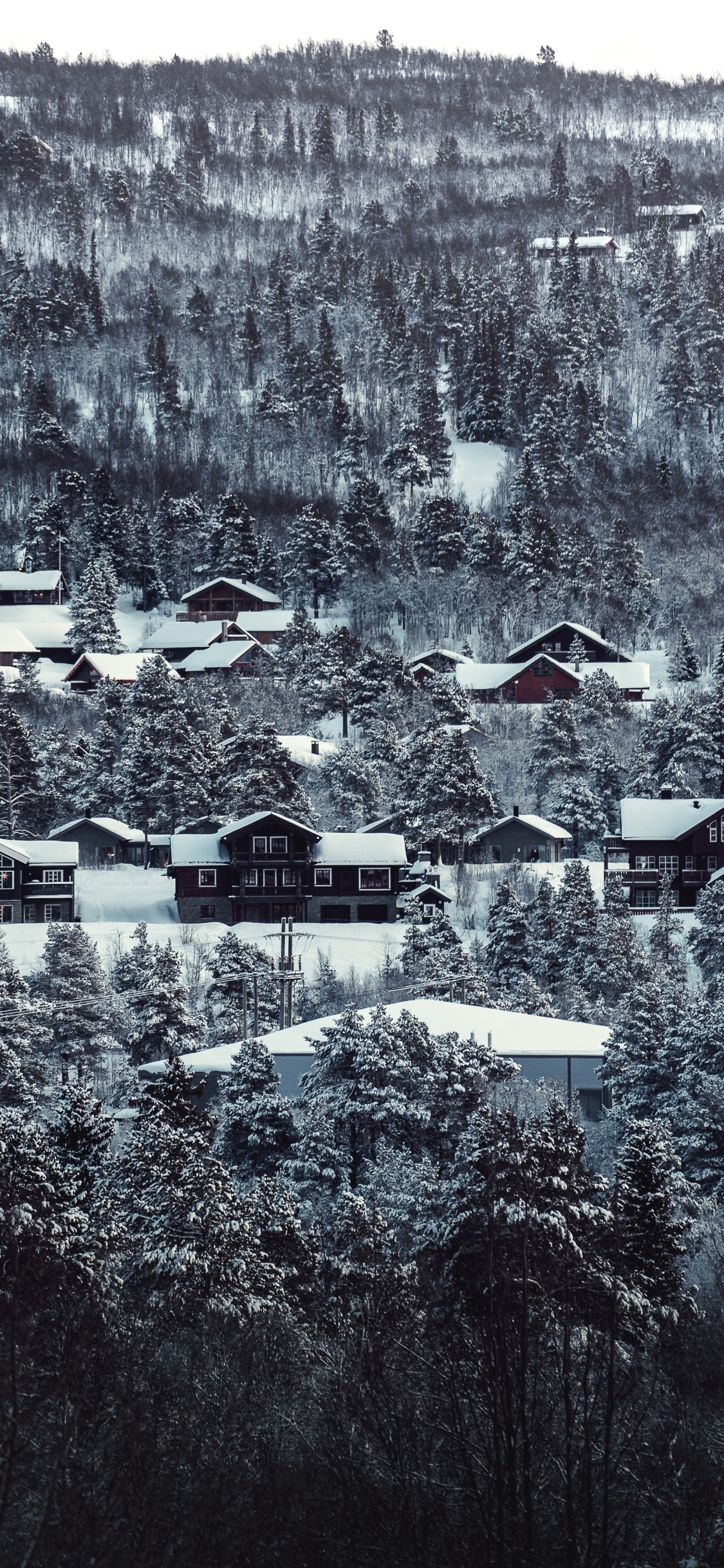 Casas Cubiertas de Nieve Durante el Día. Wallpaper in 1125x2436 Resolution
