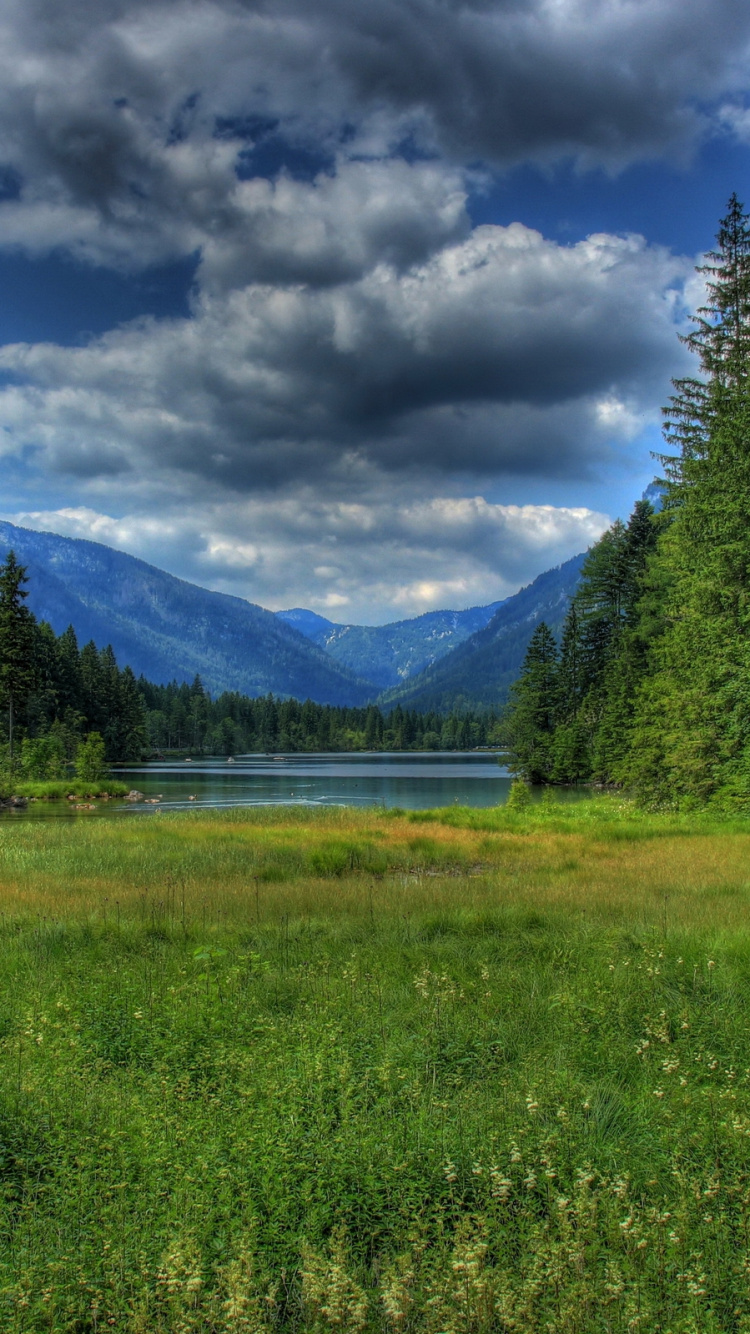 性质, 荒野, 草地上, 安装的风景, 放牧 壁纸 750x1334 允许
