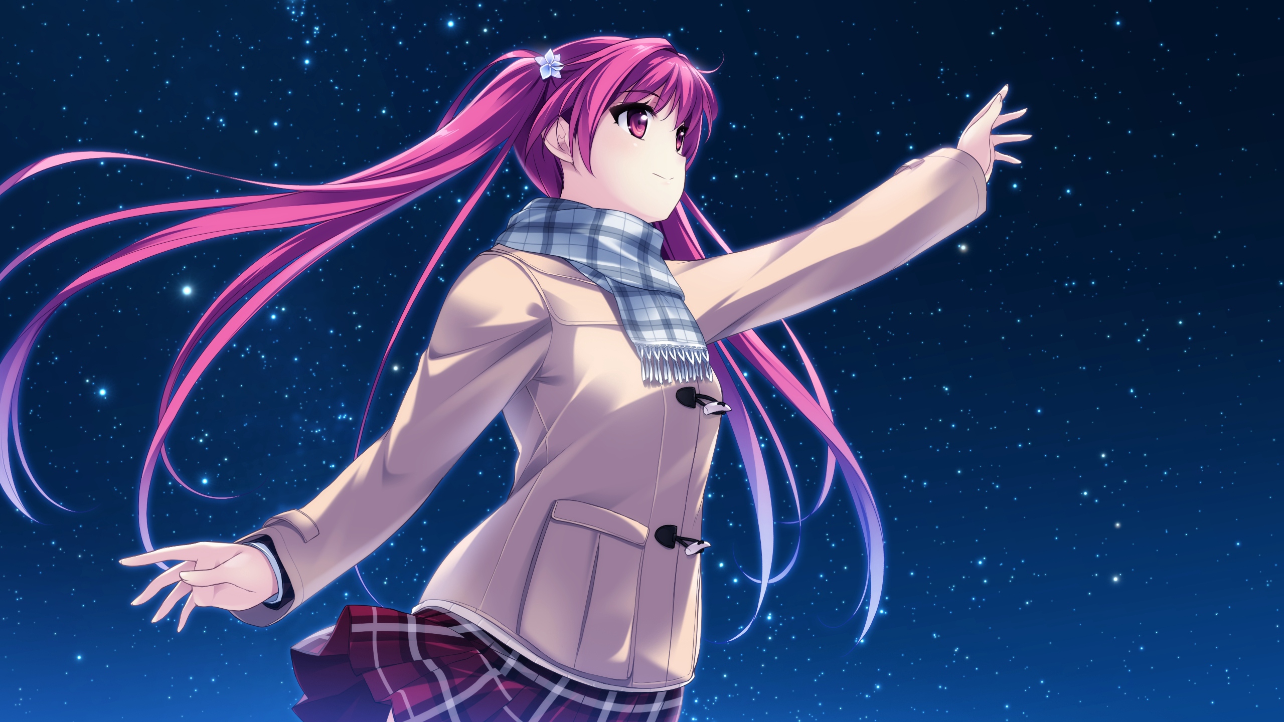 Frau Mit Rosa Haaren Anime-Charakter. Wallpaper in 2560x1440 Resolution