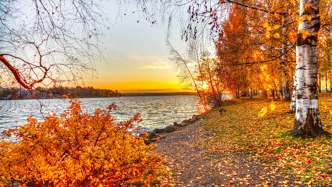 la Peinture de Paysage, Nature, Feuille, Réflexion, Feuilles Caduques. Wallpaper in 1366x768 Resolution