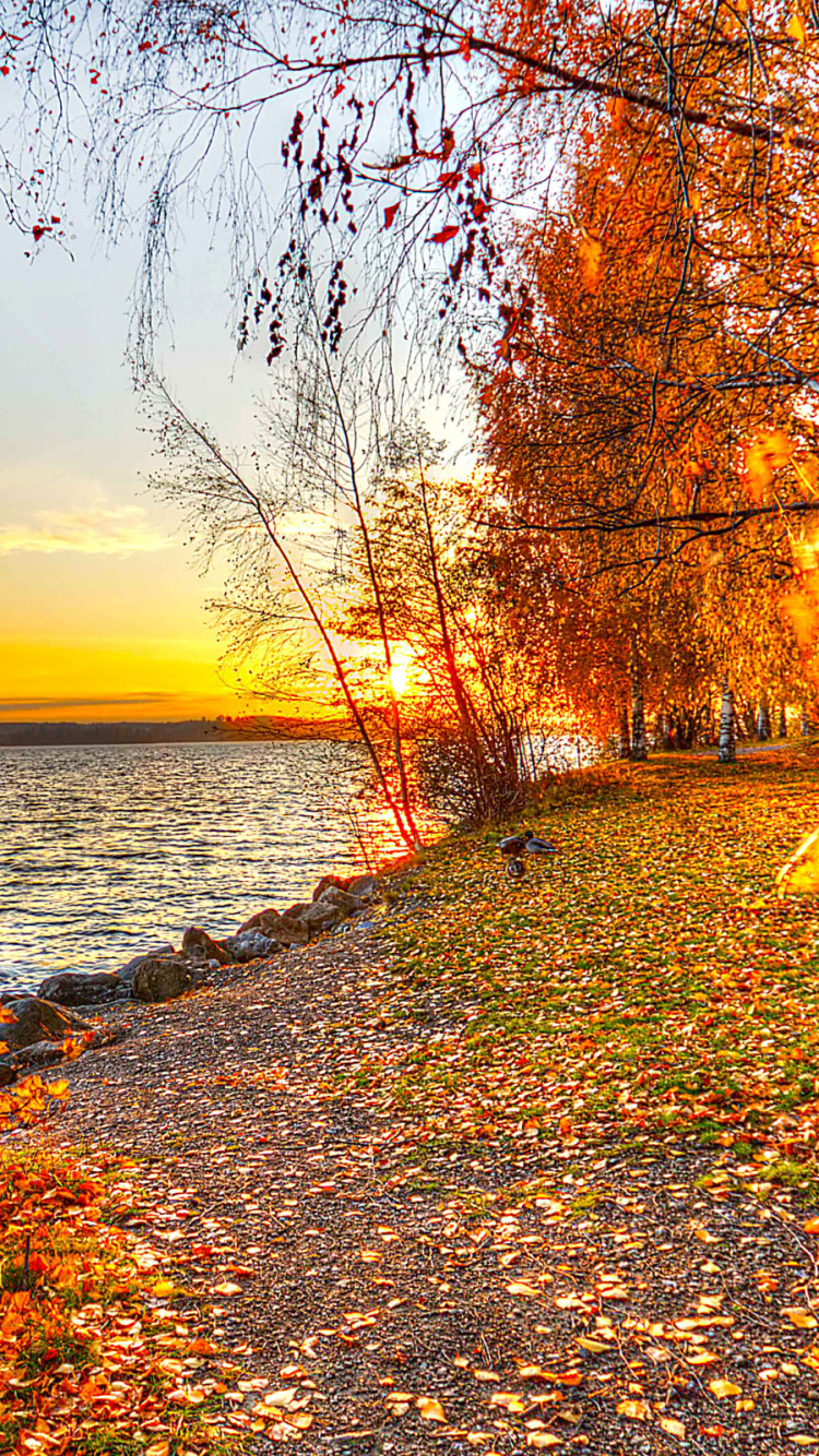 la Pintura de Paisaje, Naturaleza, Reflexión, de Hoja Caduca, Agua. Wallpaper in 750x1334 Resolution