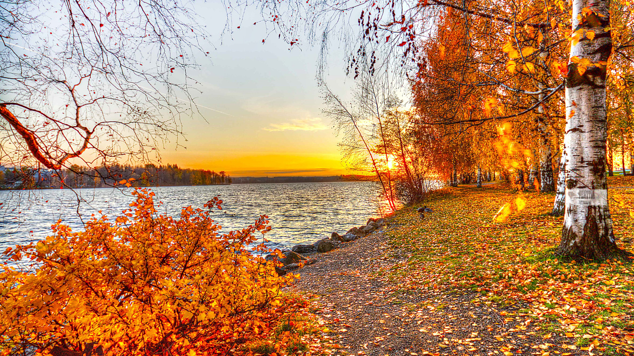 Landschaftsmalerei, Herbst, Baum, Natur, Blatt. Wallpaper in 1280x720 Resolution