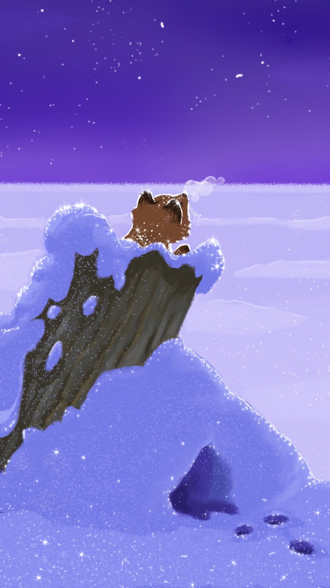 Sol Couvert de Neige Sous Ciel Bleu. Wallpaper in 1080x1920 Resolution