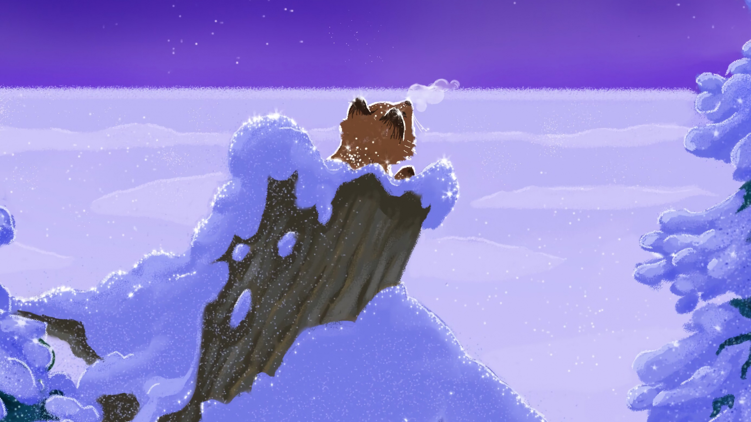 Sol Couvert de Neige Sous Ciel Bleu. Wallpaper in 2560x1440 Resolution