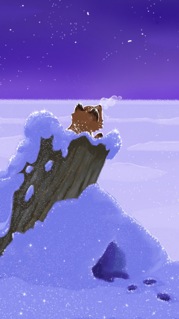 Sol Couvert de Neige Sous Ciel Bleu. Wallpaper in 720x1280 Resolution