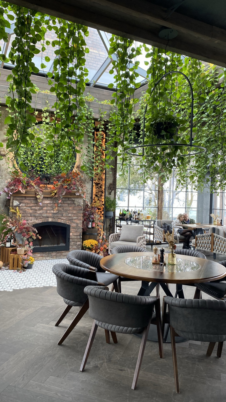 Table, Patio, Biology, Furniture, Coffee Table. Wallpaper in 750x1334 Resolution