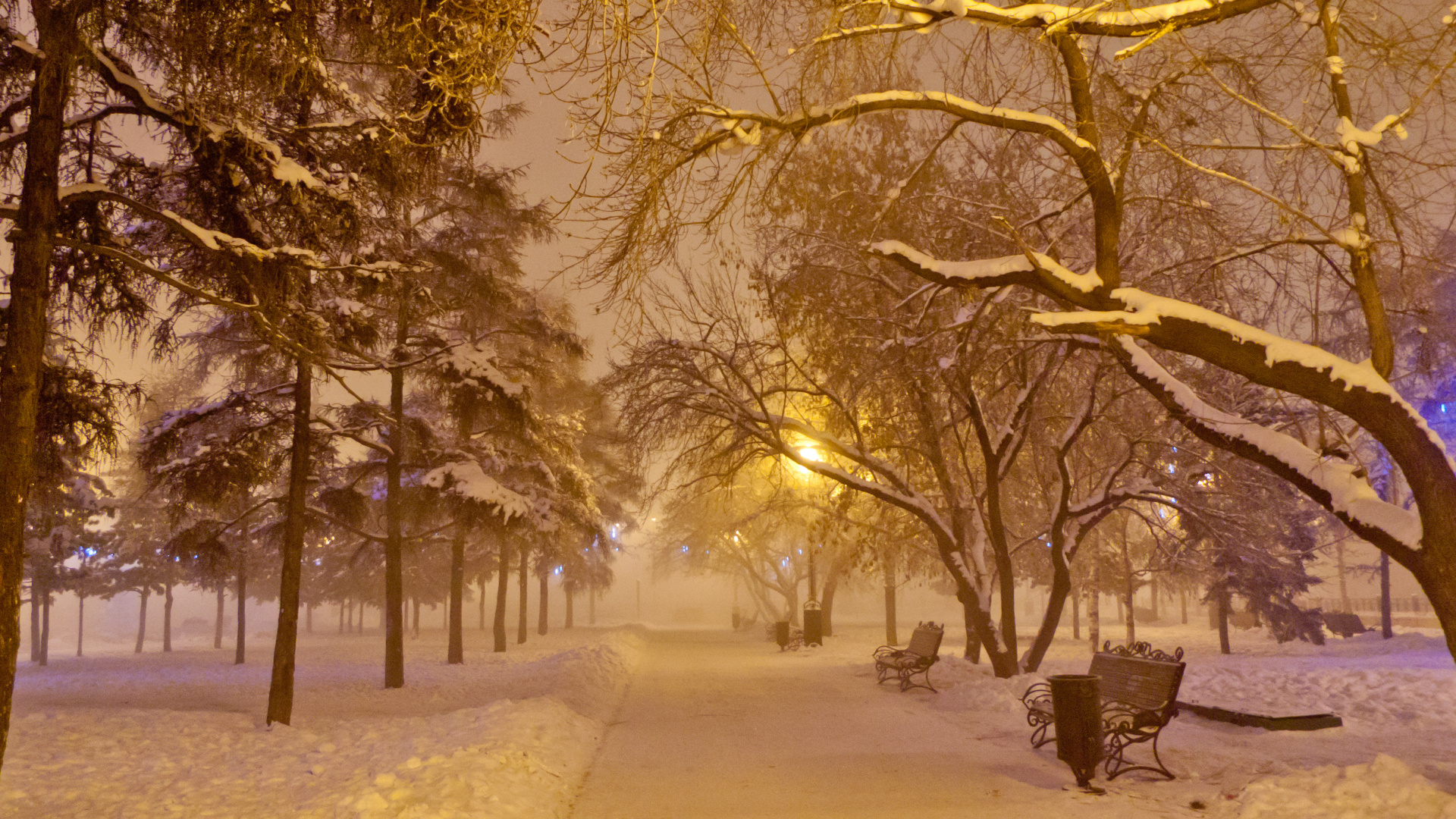 Brown Bare Trees on Snow Covered Ground During Daytime. Wallpaper in 1920x1080 Resolution