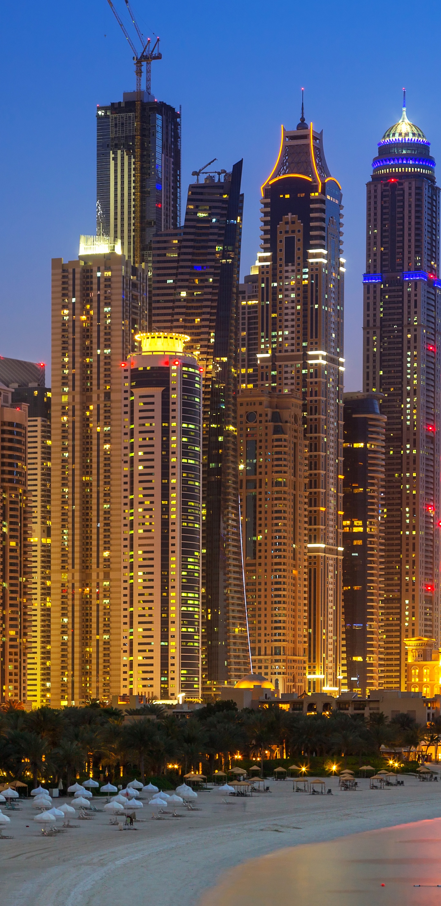 Horizon de la Ville Pendant la Nuit. Wallpaper in 1440x2960 Resolution