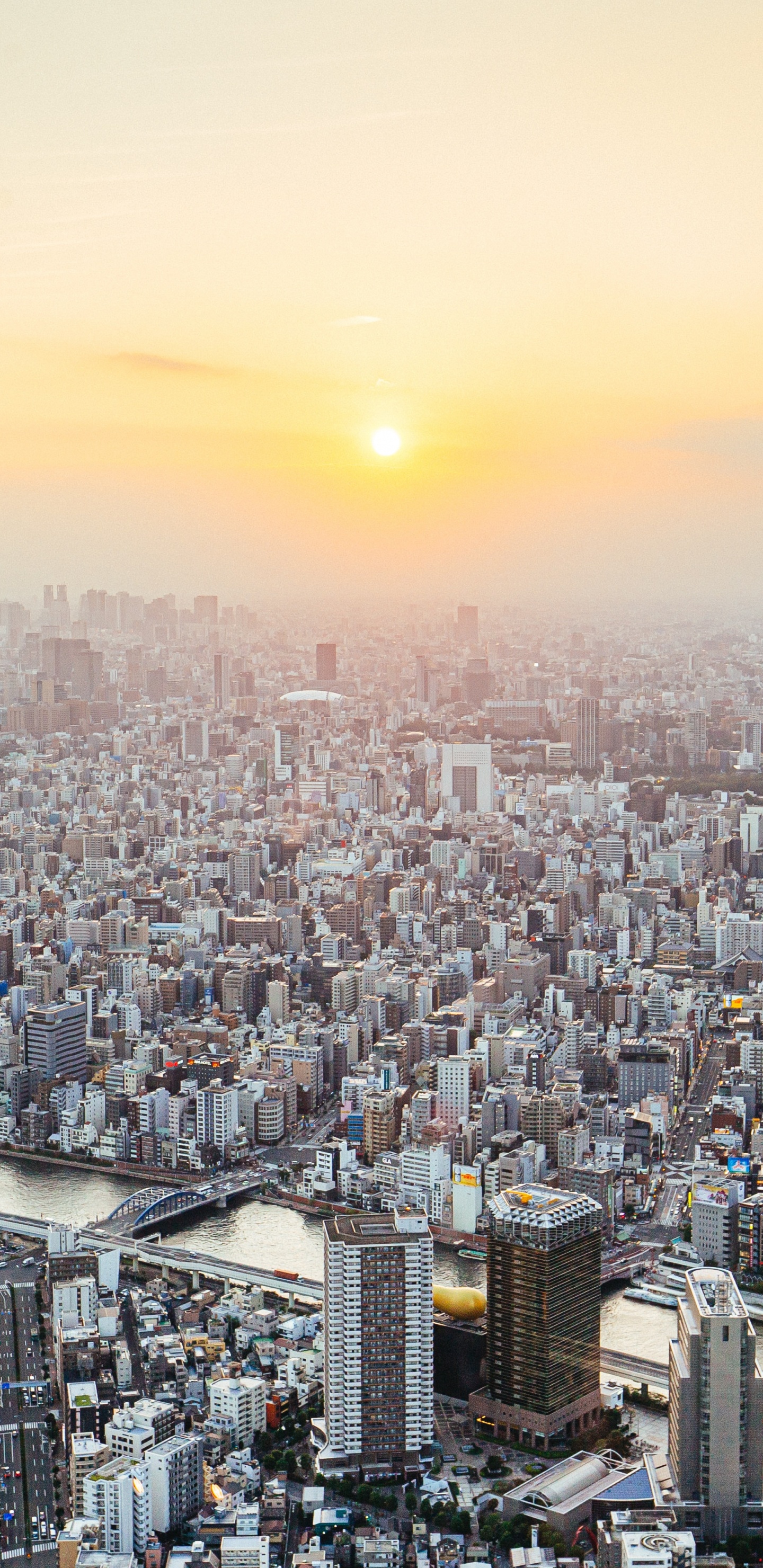 城市, 城市景观, 大都会, 人类住区, 地平线 壁纸 1440x2960 允许