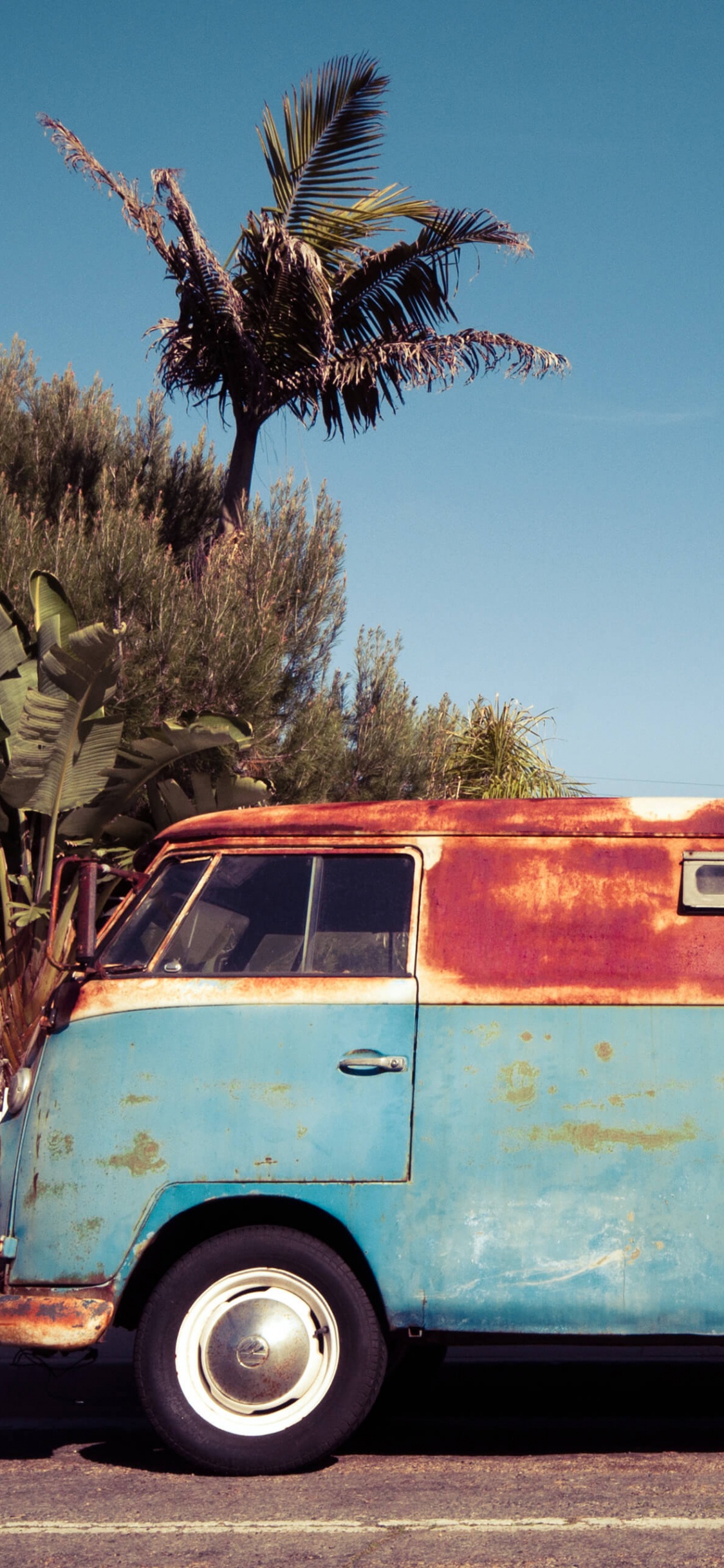 Neumatico, Rueda, Volkswagen Tipo 2, Capucha. Wallpaper in 1125x2436 Resolution