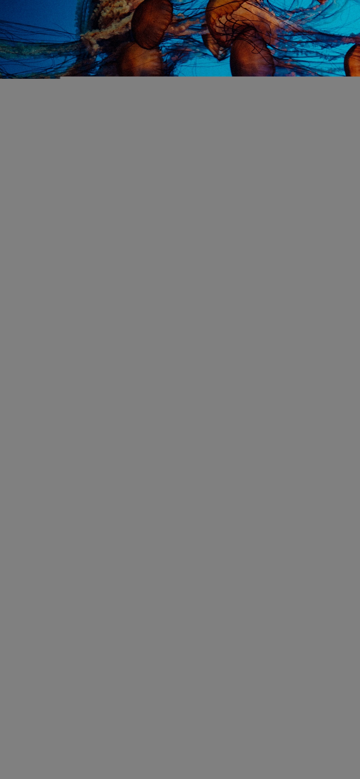 Arts Visuels, Encore de la Vie, Art, Vie, Méduse. Wallpaper in 1242x2688 Resolution