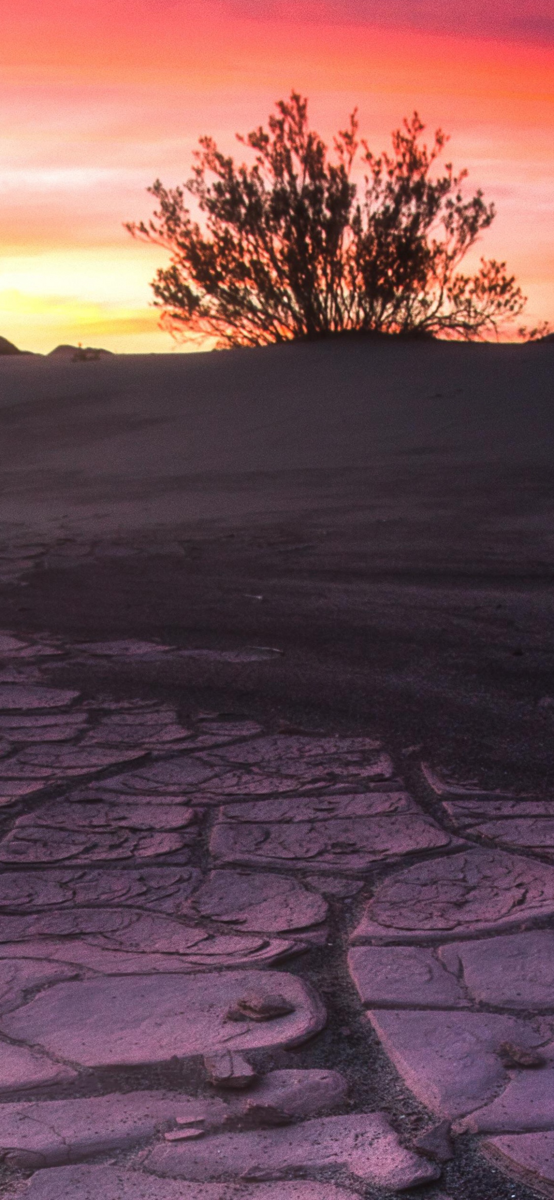 Natur, Horizont, Himmel, Ste, Sonnenuntergang. Wallpaper in 1125x2436 Resolution