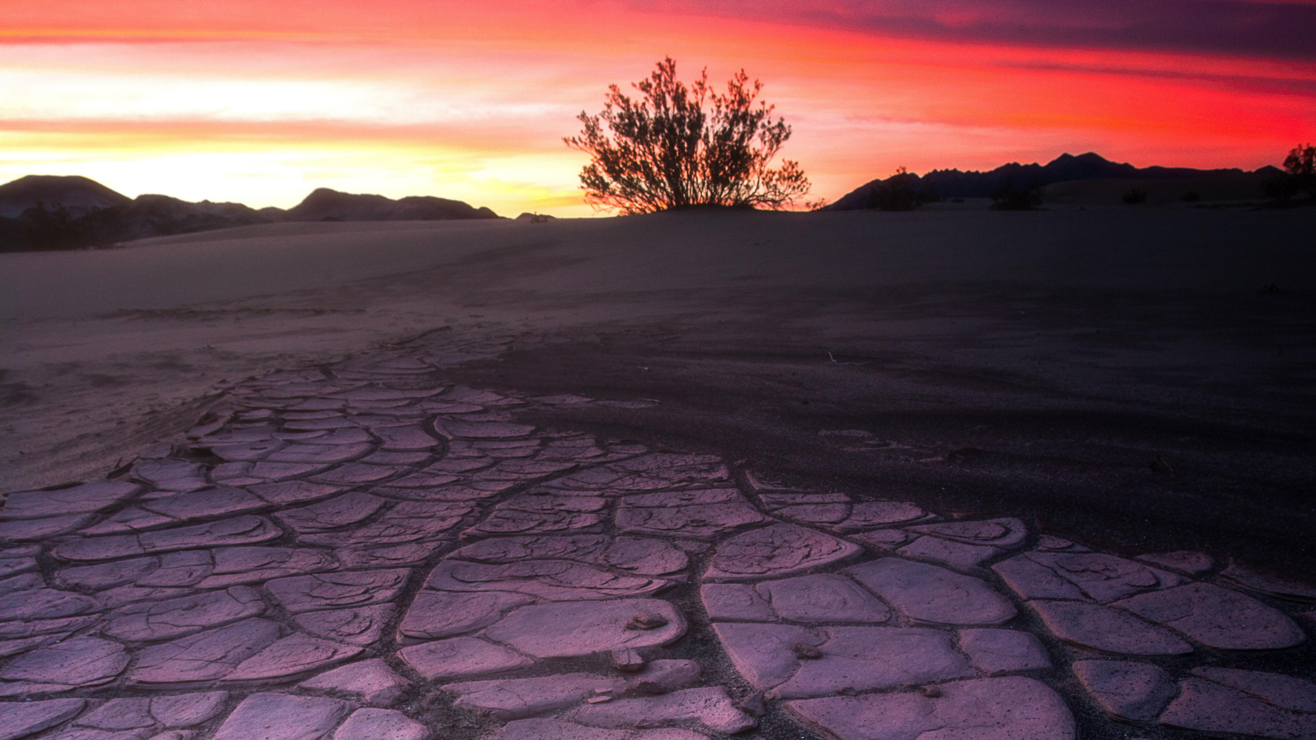 Nature, Red, Horizon, Sky, Desert. Wallpaper in 2560x1440 Resolution