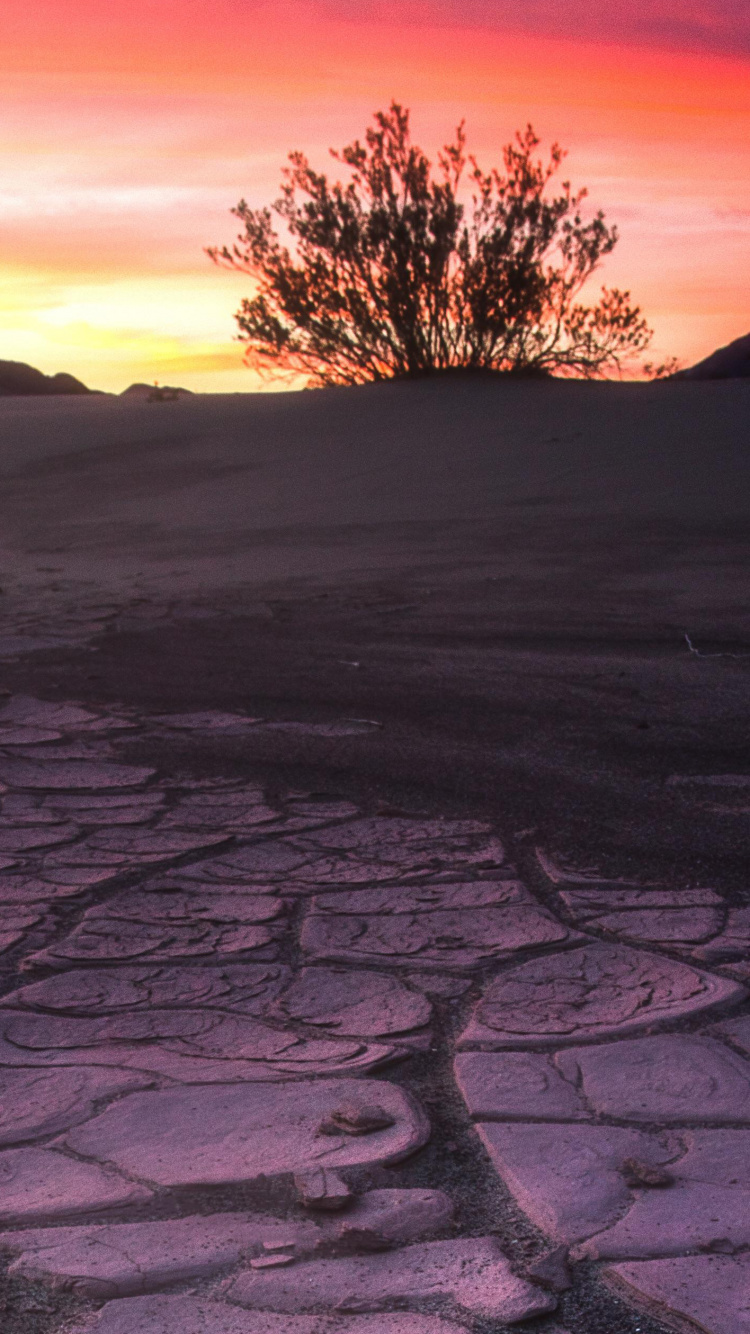 Nature, Red, Horizon, Sky, Desert. Wallpaper in 750x1334 Resolution
