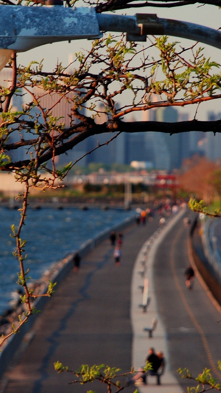 Body of Water Near Trees During Daytime. Wallpaper in 720x1280 Resolution