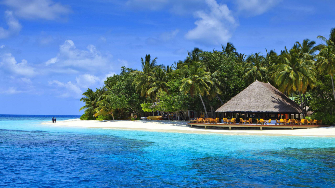 Maison en Bois Brune Sur la Plage Pendant la Journée. Wallpaper in 1366x768 Resolution