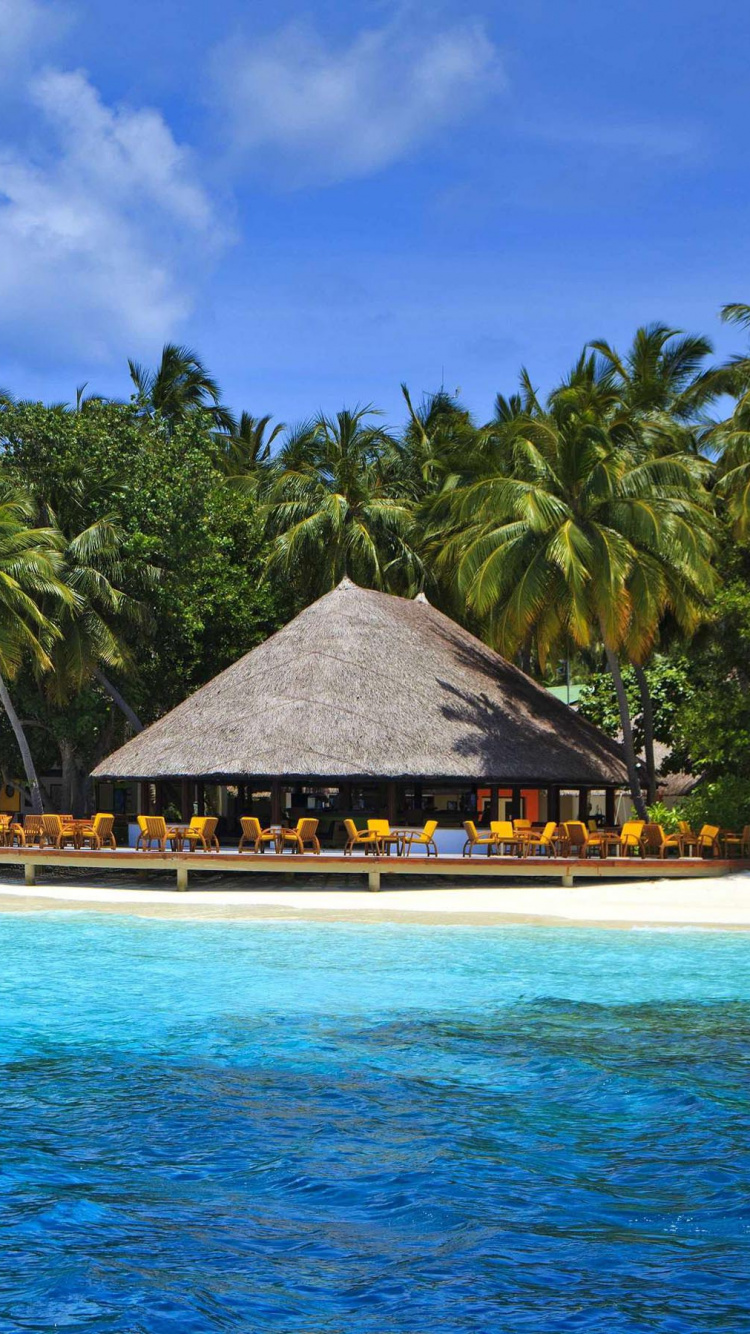 Maison en Bois Brune Sur la Plage Pendant la Journée. Wallpaper in 750x1334 Resolution