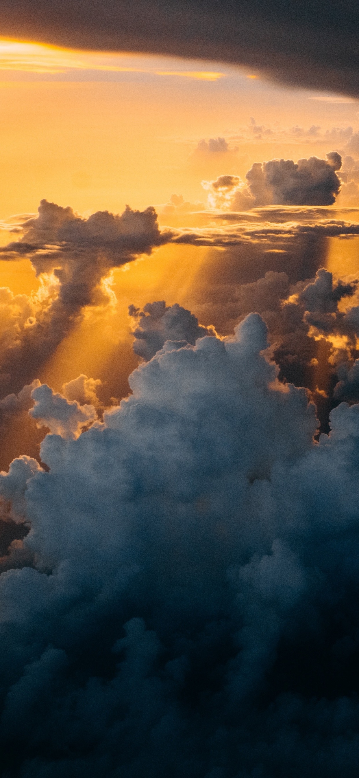 IPhone, IPhone X, Apple, IOS, la Journée. Wallpaper in 1242x2688 Resolution