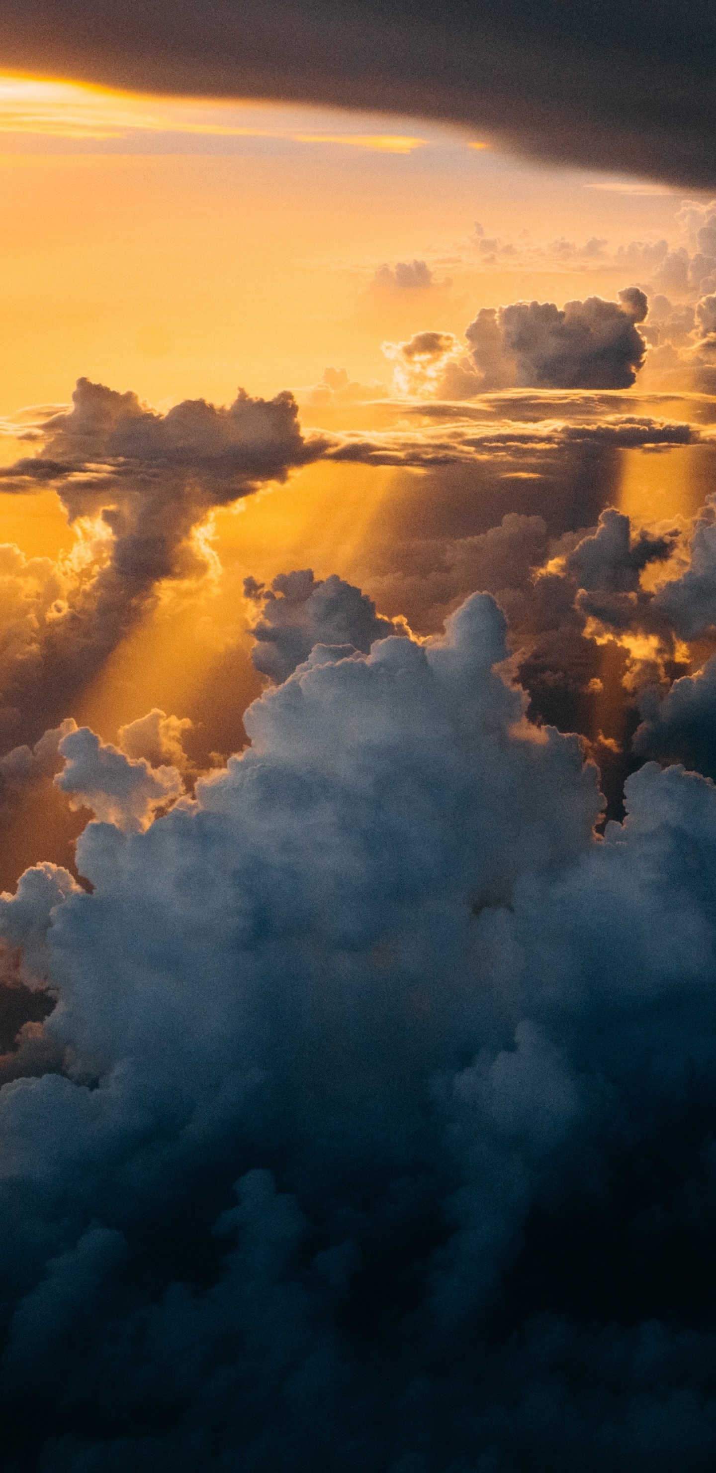 IPhone, IPhone X, Apple, IOS, la Journée. Wallpaper in 1440x2960 Resolution