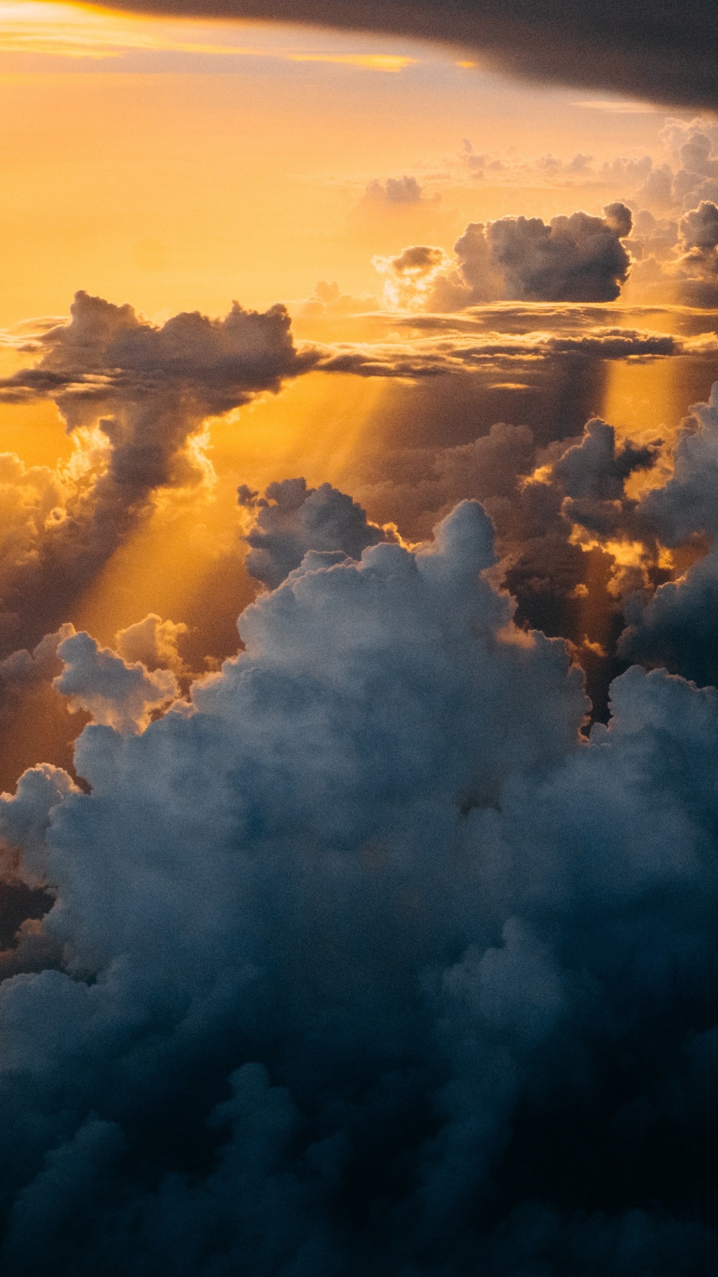 Apple, IPhone, IPhone X, Manzana, Ios. Wallpaper in 1440x2560 Resolution