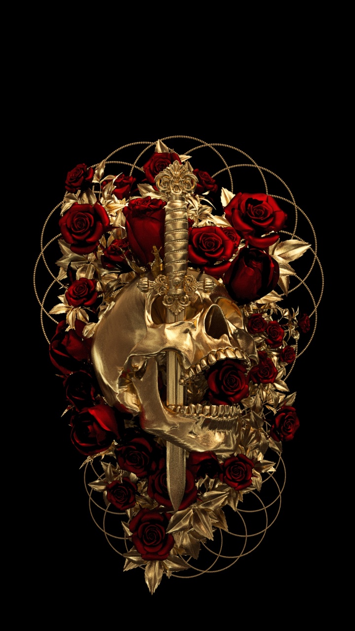 Bilelis Art, Art, Artist, Skull Art, Illustration. Wallpaper in 720x1280 Resolution